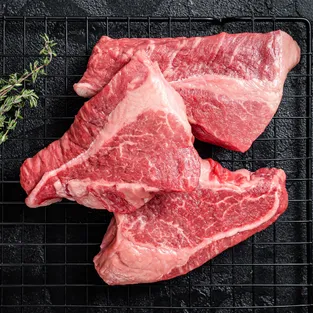 תמונה של שייטל