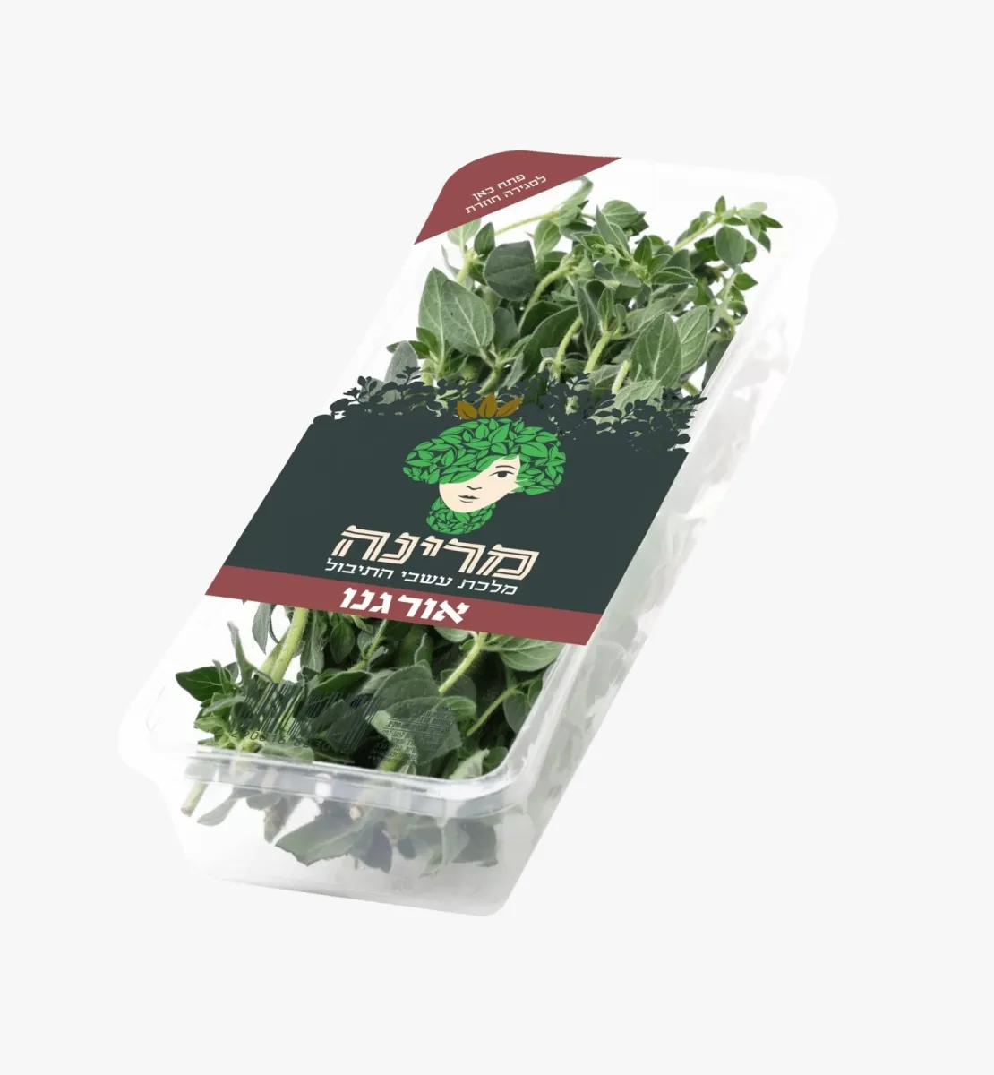 תמונה של אורגנו