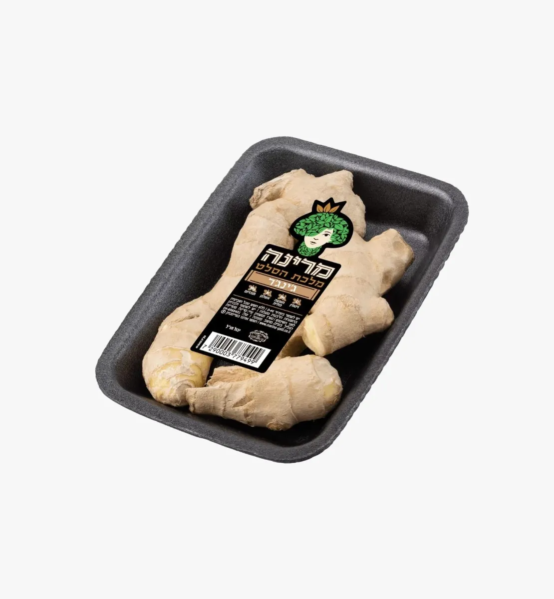 תמונה של גינגר ארוז