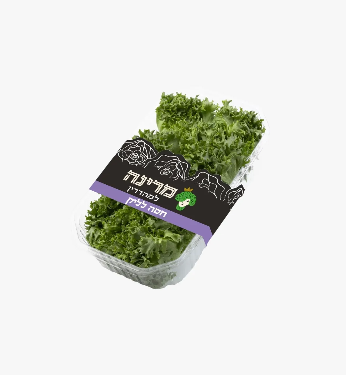 תמונה של חסה לליק