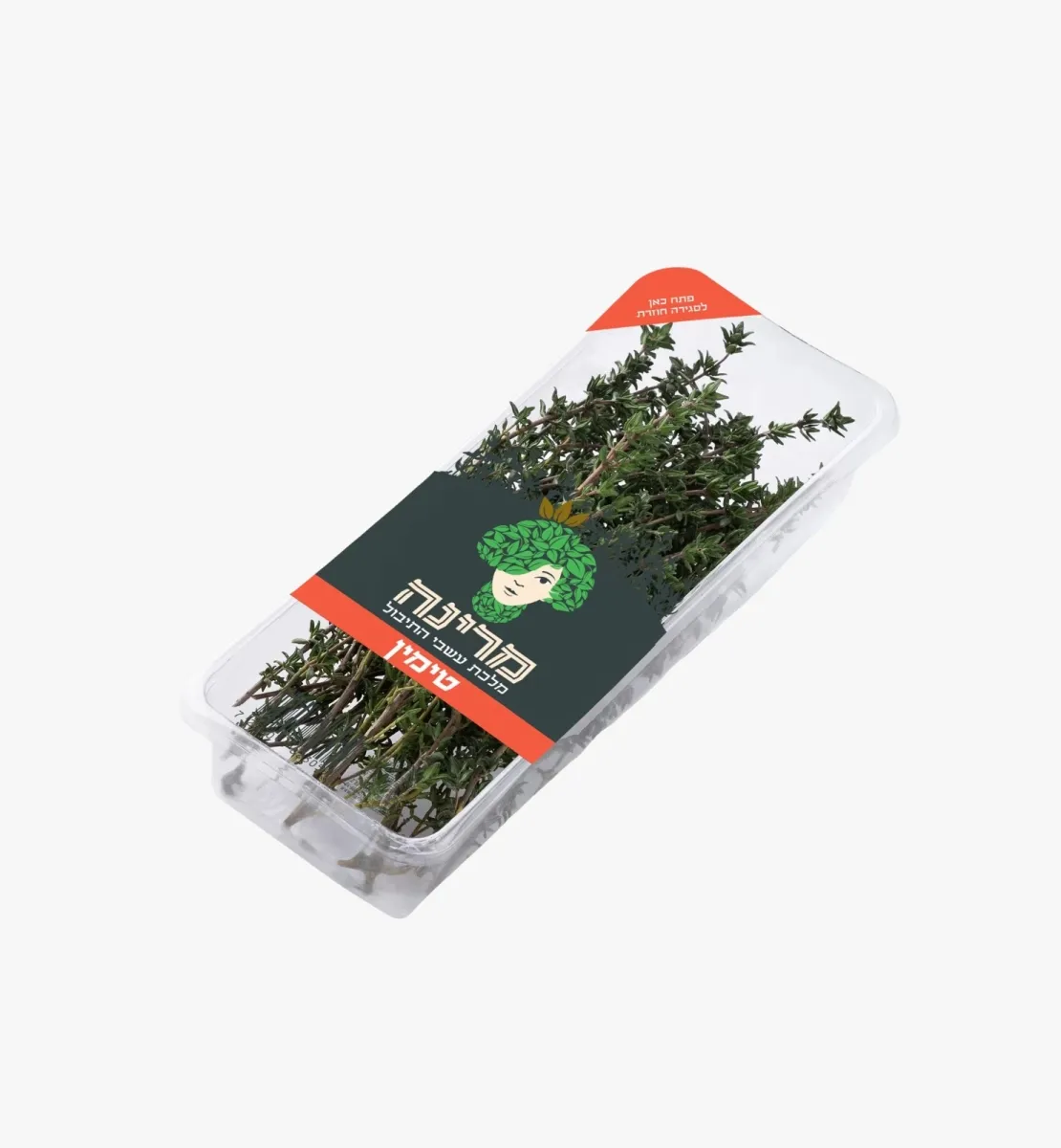 תמונה של טימין טרי