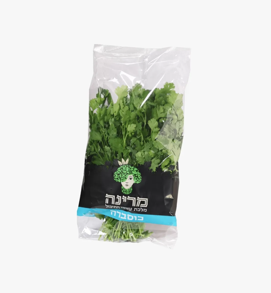 תמונה של כוסברה טרי