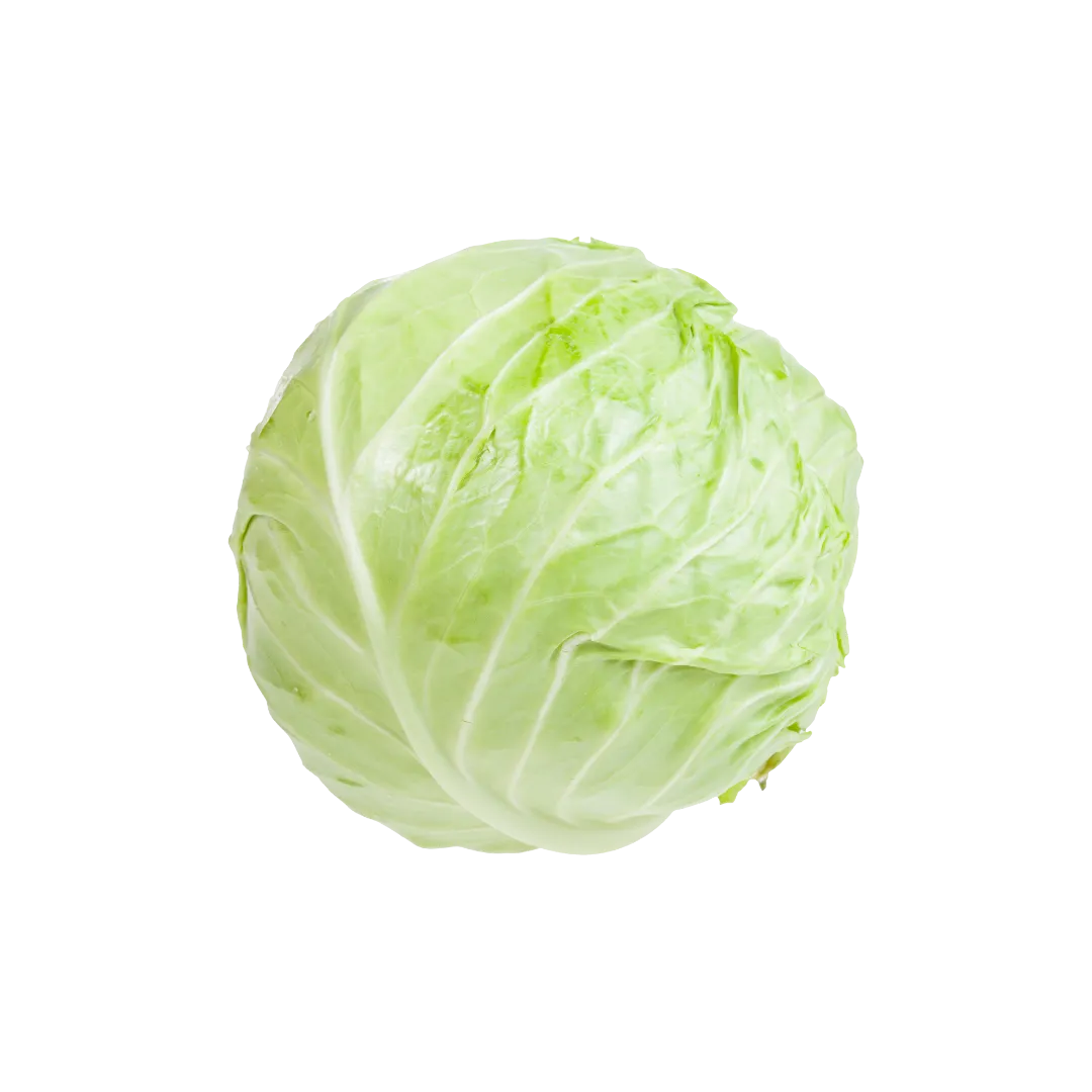 תמונה של כרוב לבן