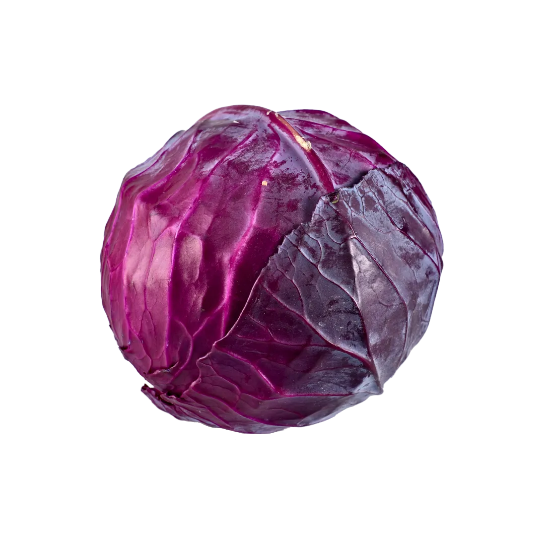 תמונה של כרוב סגול