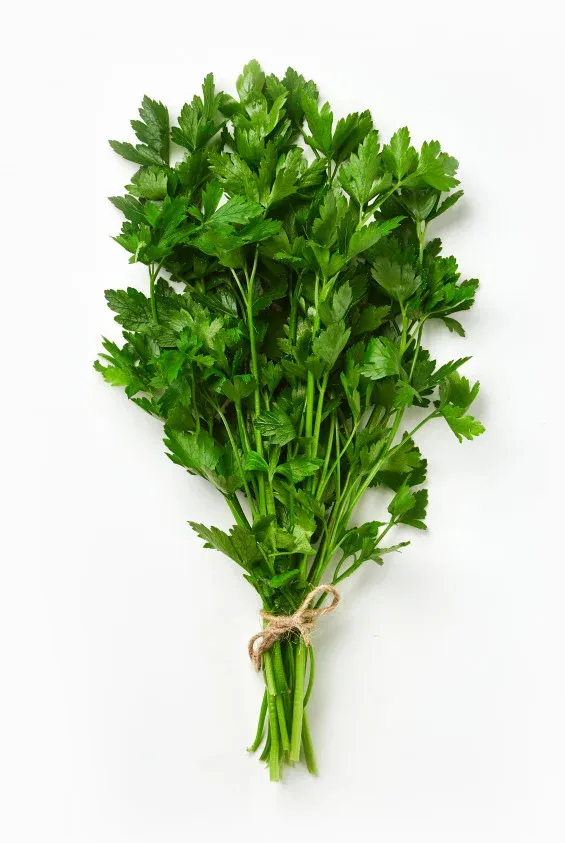 תמונה של מארז פטרוזליה גוש קטיף