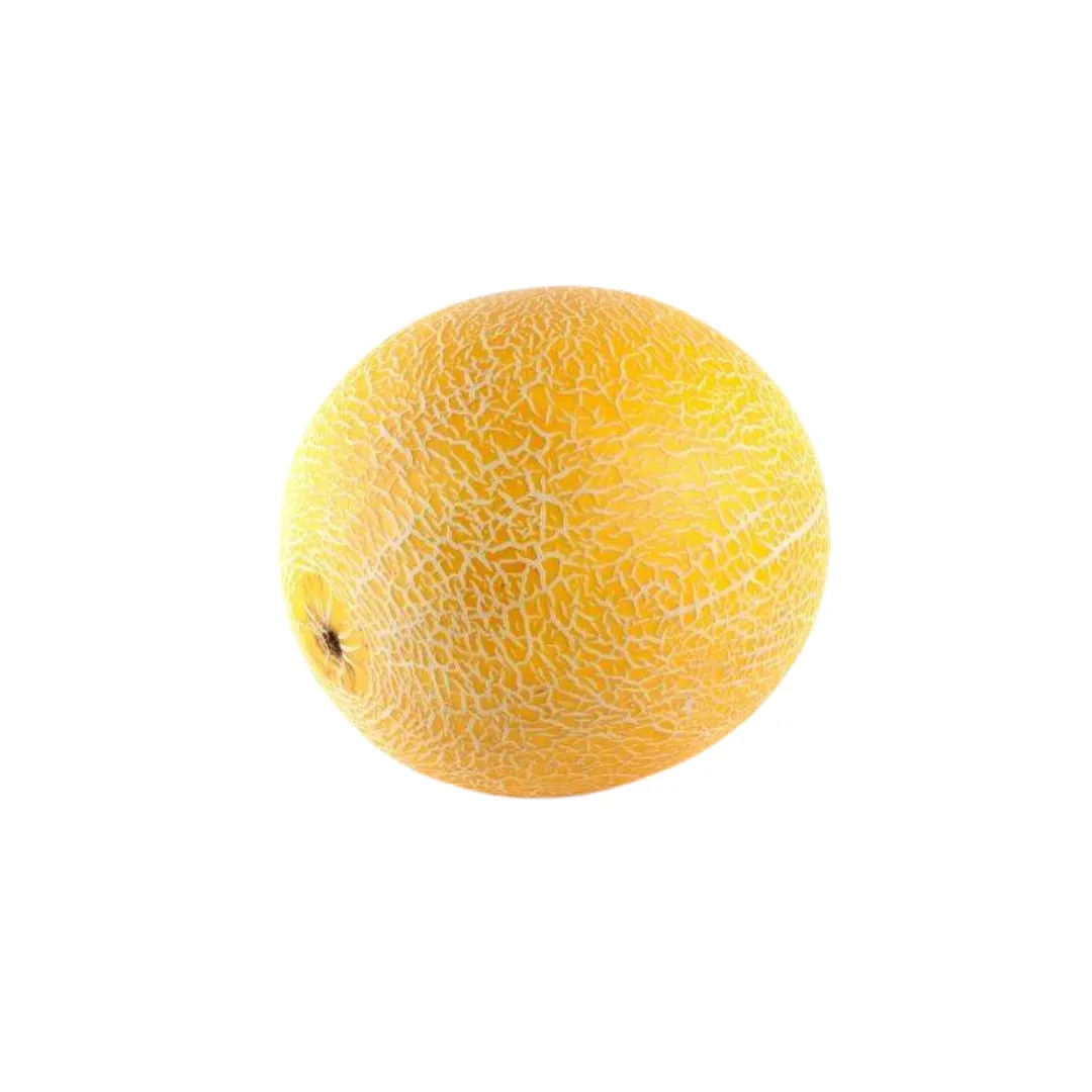 תמונה של מלון