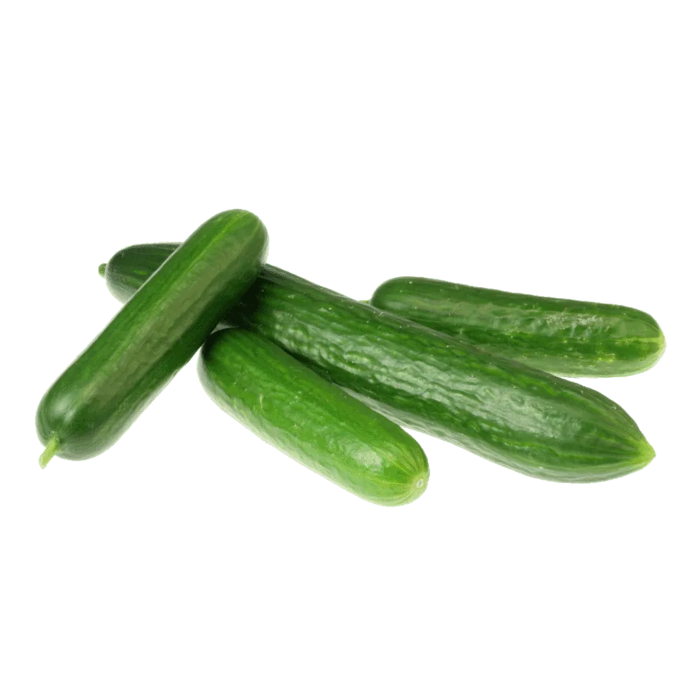 תמונה של מלפפון