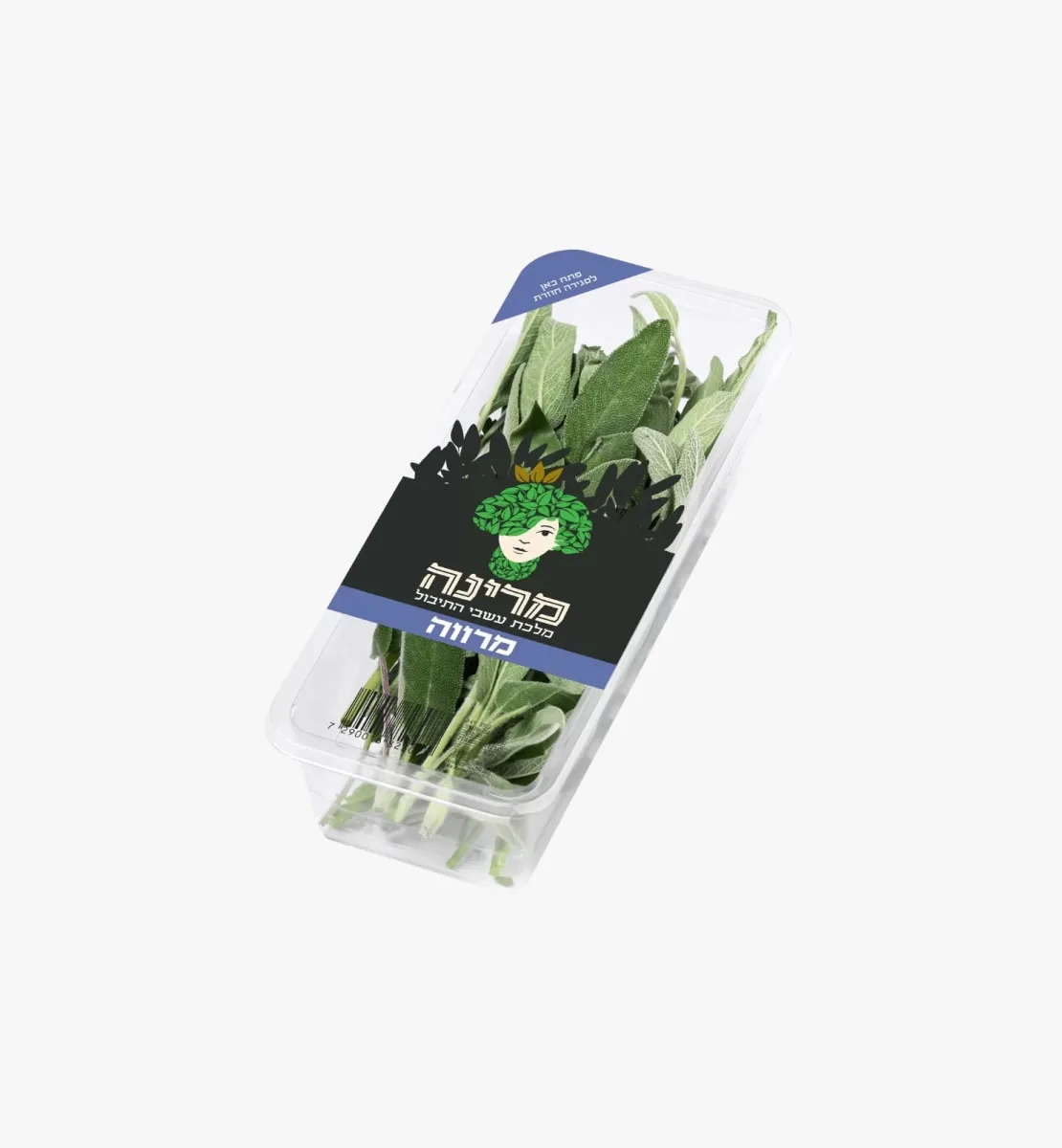 תמונה של מרווה טרי