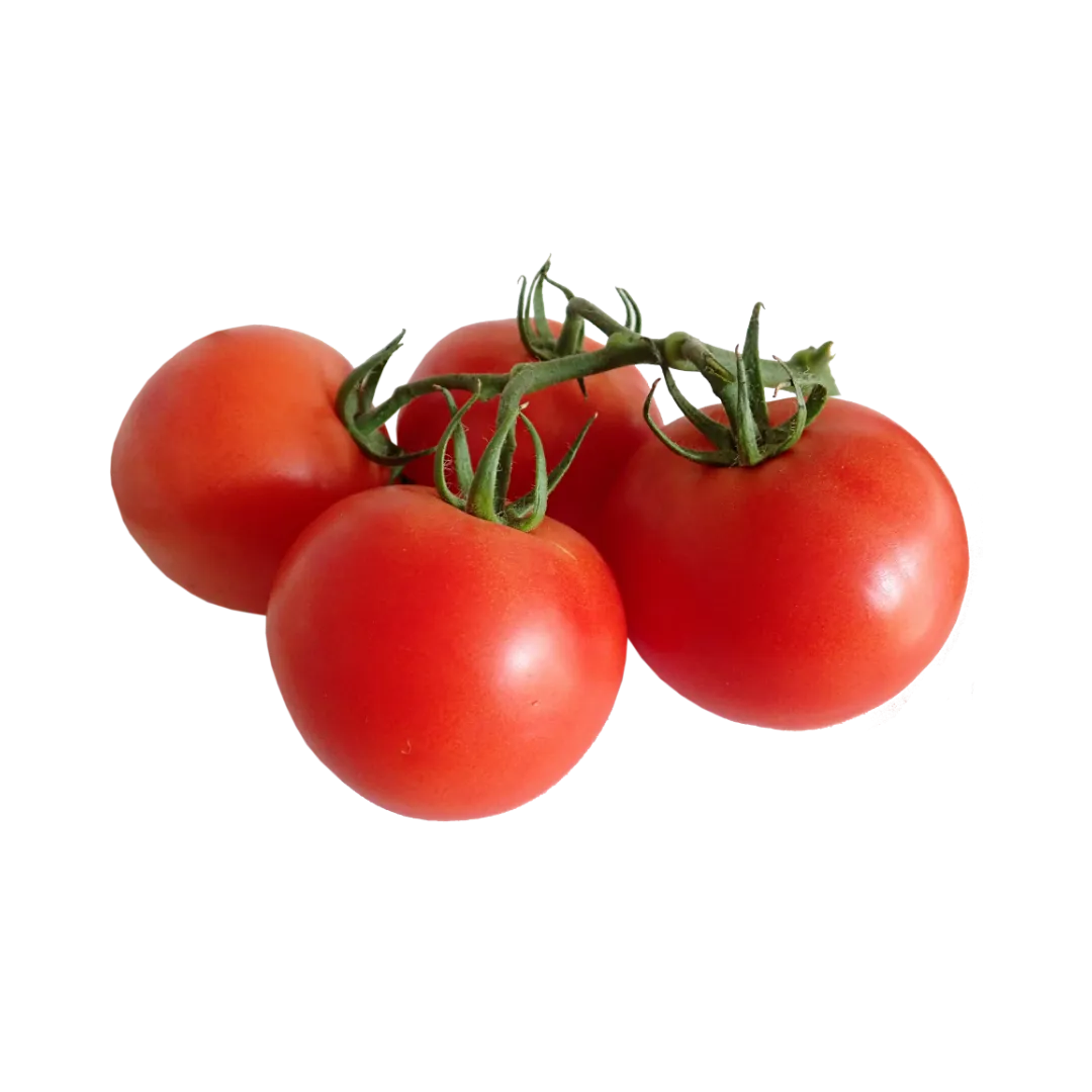 תמונה של עגבניה