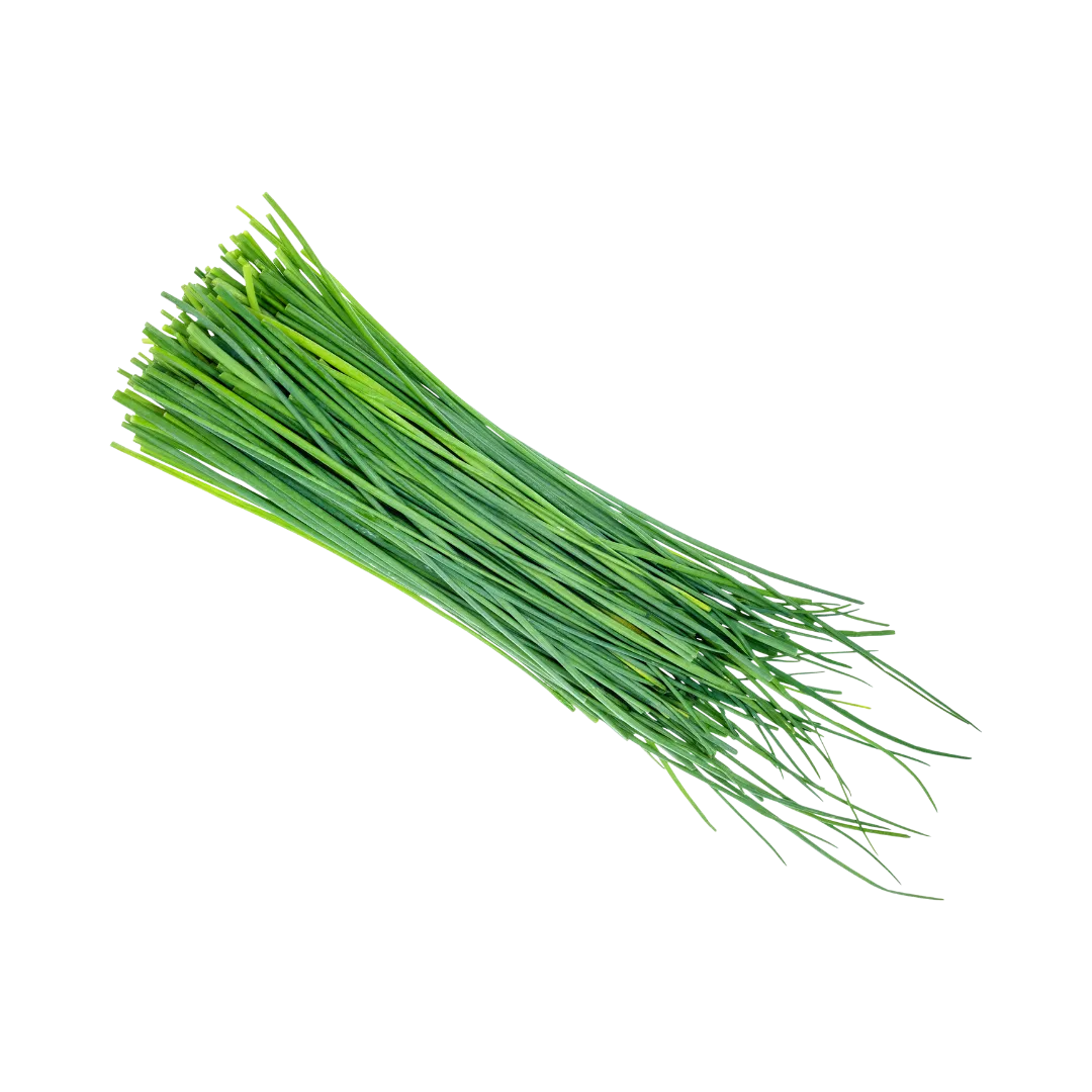 תמונה של עירית טריה