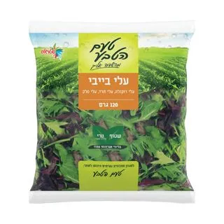 תמונה של עלי בייבי שטראוס