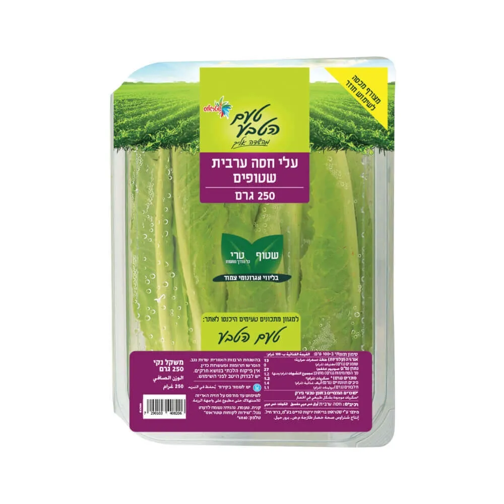 תמונה של עלי חסה ערבית שטופה שטראוס