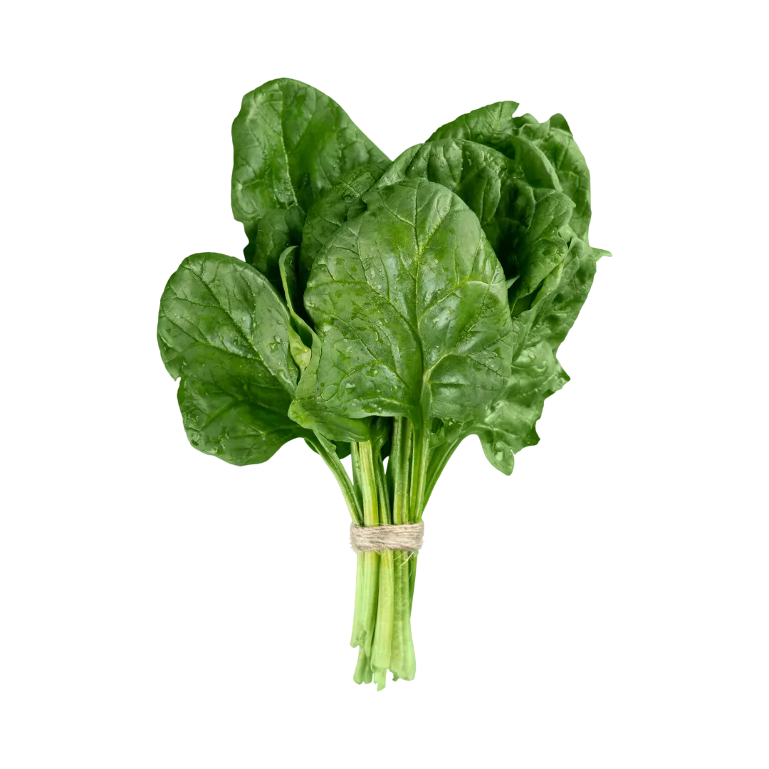 תמונה של עלי תרד