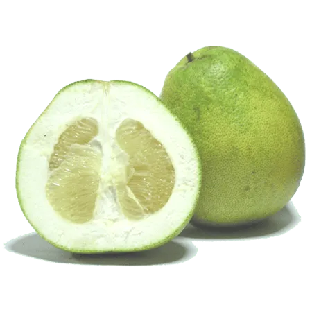 תמונה של פומלה