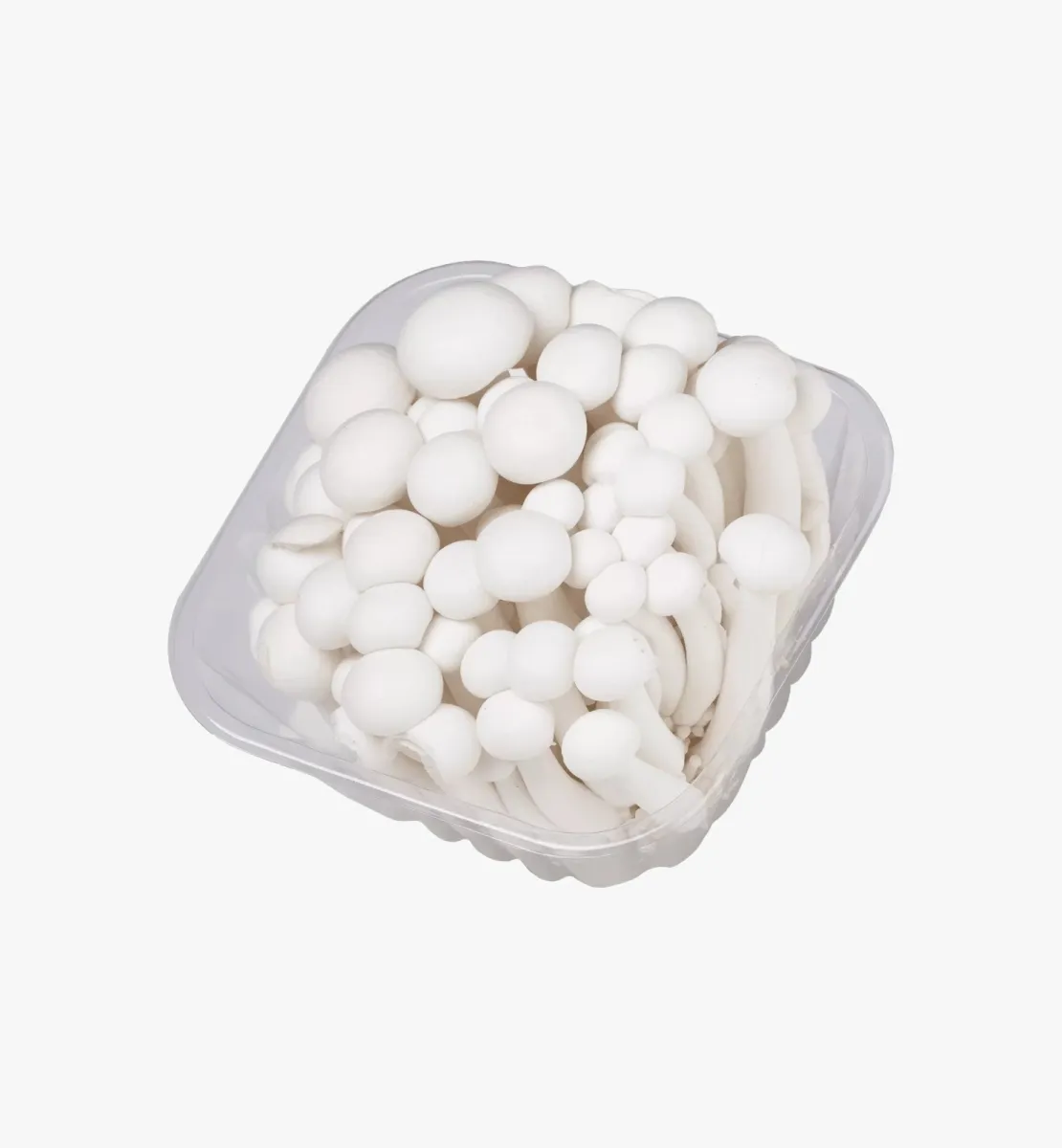 תמונה של פטריות שימג'י לבנות