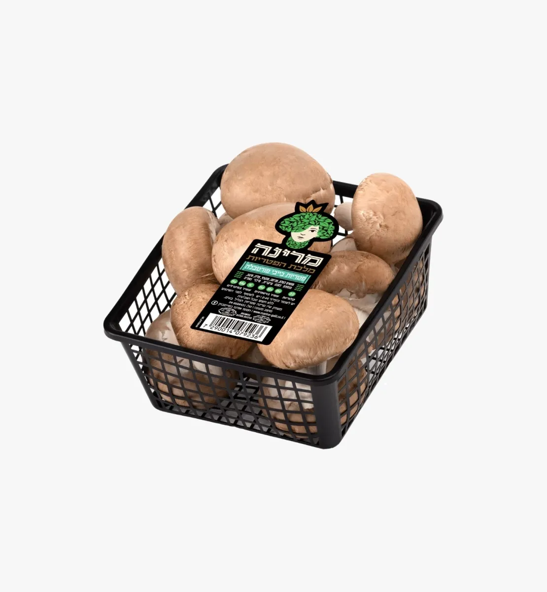 תמונה של פטריות שמפיניון חומות