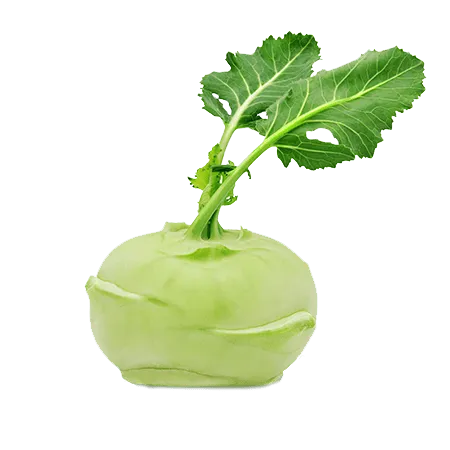 תמונה של קולורבי