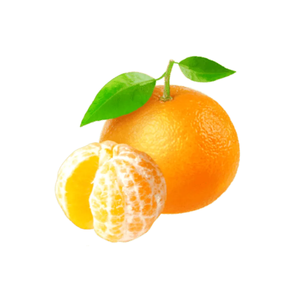 תמונה של קלמנטינה