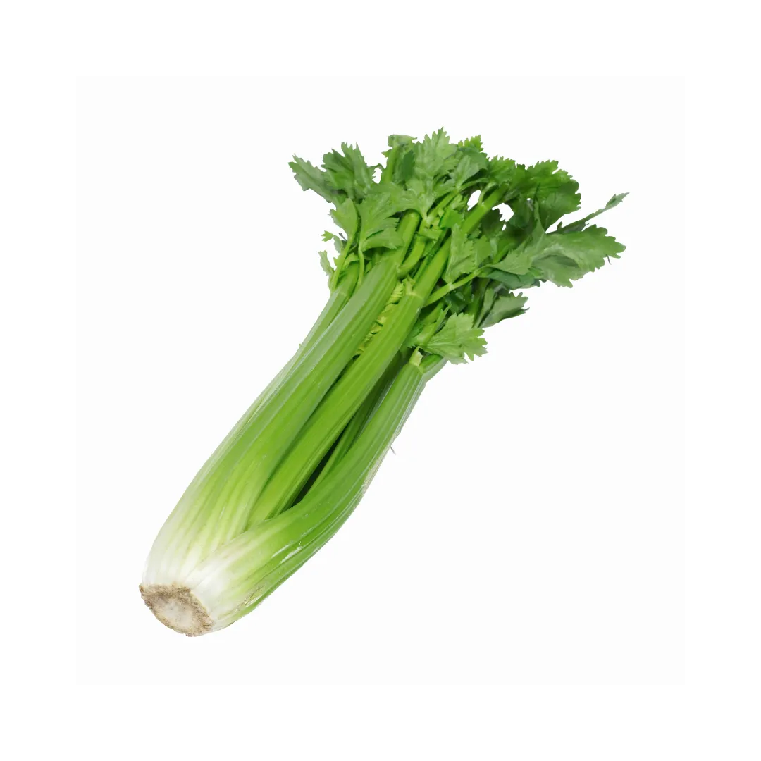 תמונה של ראש סלרי