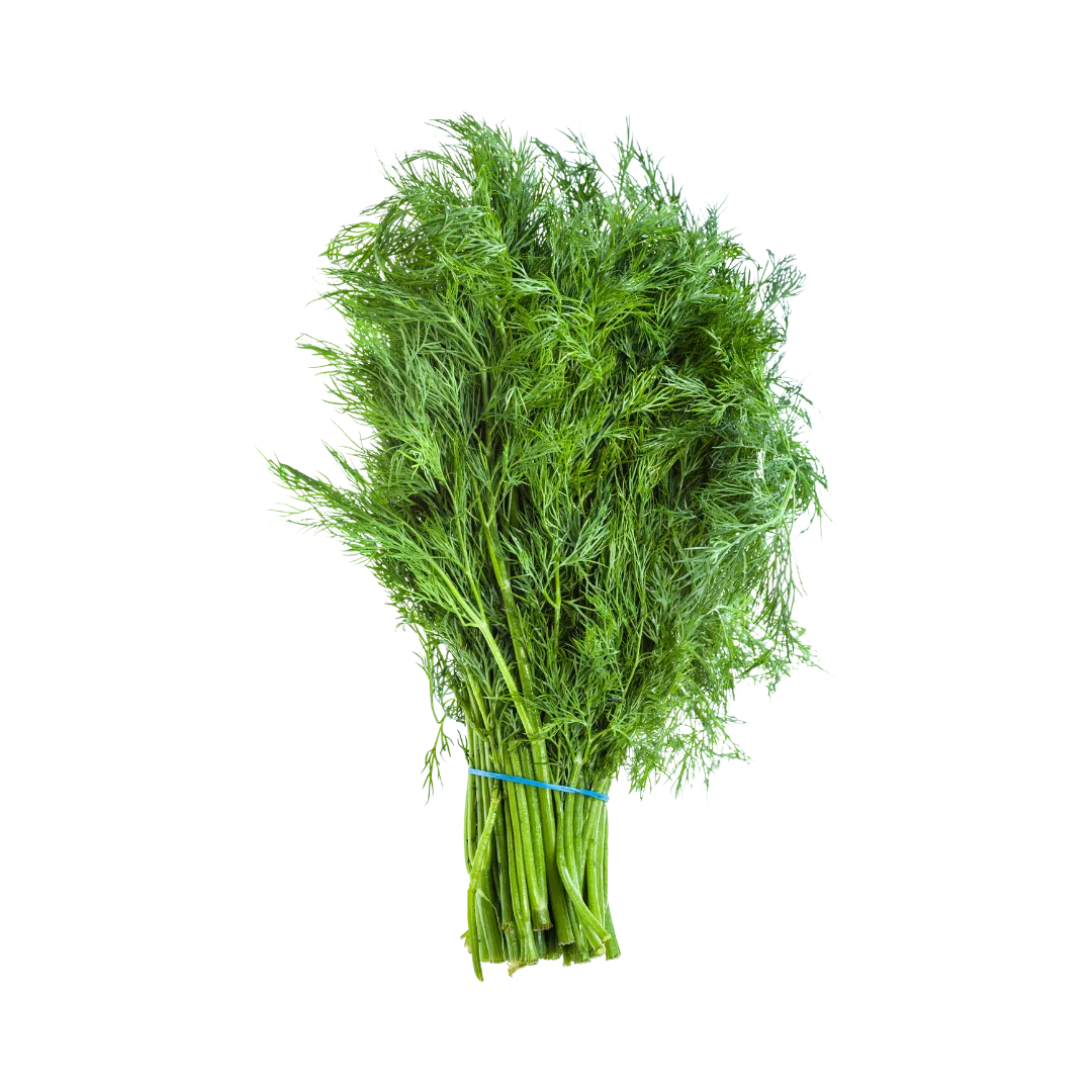 תמונה של שמיר טרי