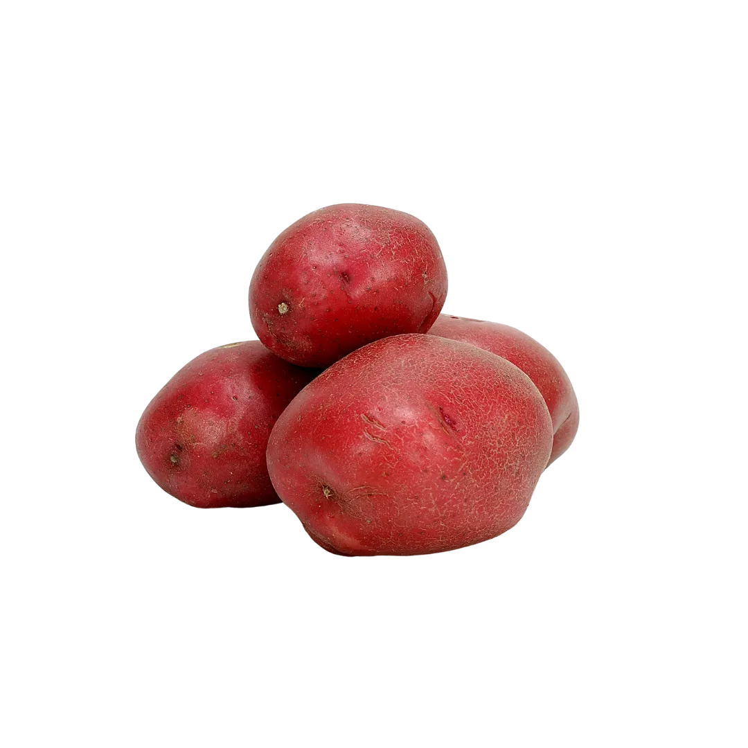 תמונה של תפוח אדמה אדום