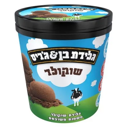 תמונה של גלידה בן אנד גריס שוקולד משפחתית