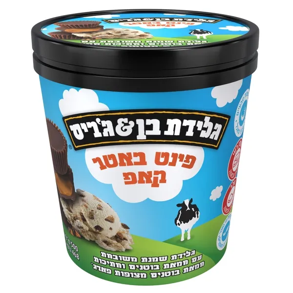 תמונה של גלידת בן אנד גריס פיינט פינט באטר קאפ