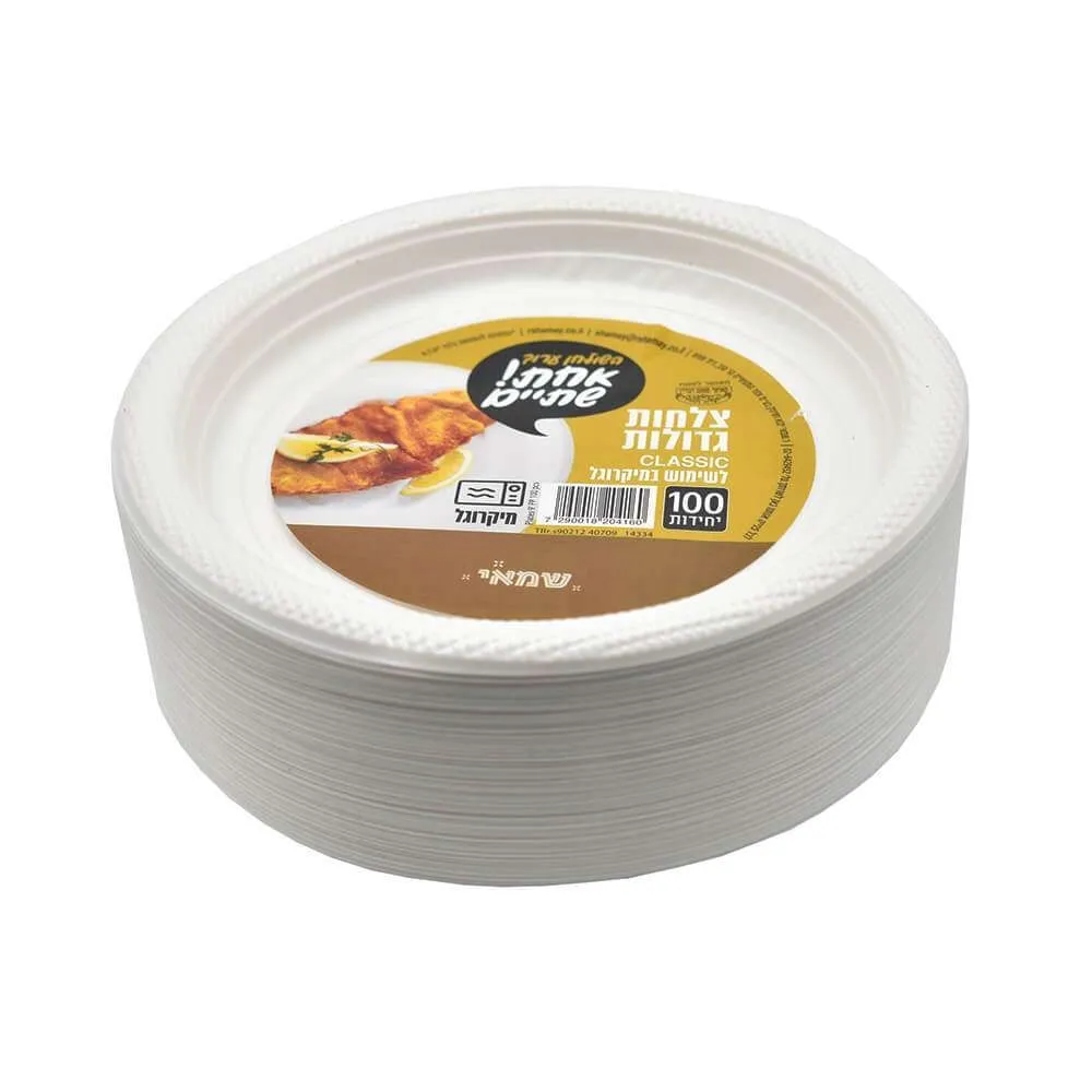 תמונה של צלחות גדולות 100 יחידות אחת ושתיים