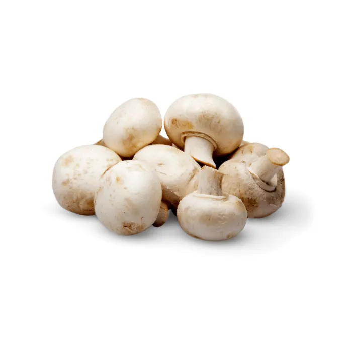 פטריות חומות