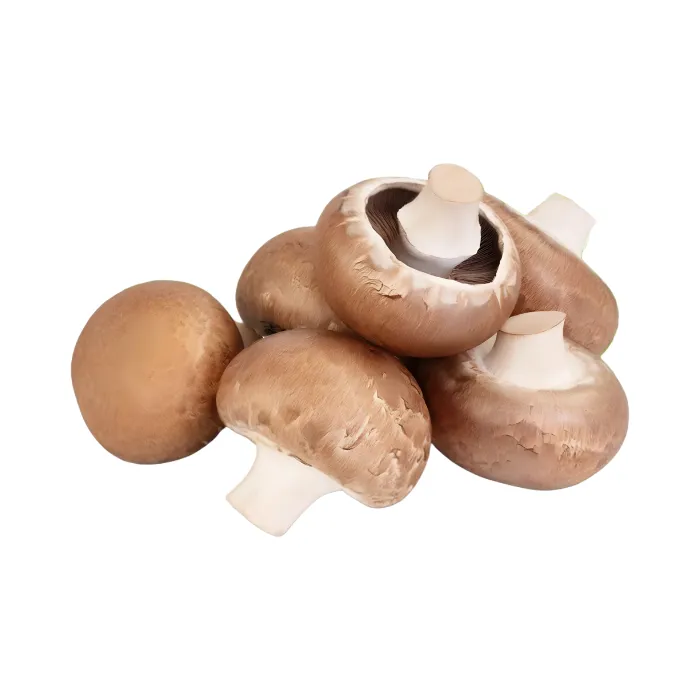 פטריות חומות